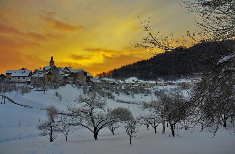 Višnja gora ne gori by peter medved
