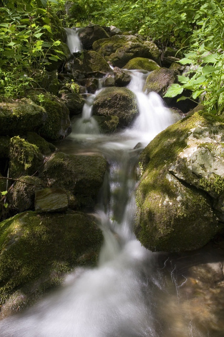 Milky stream by