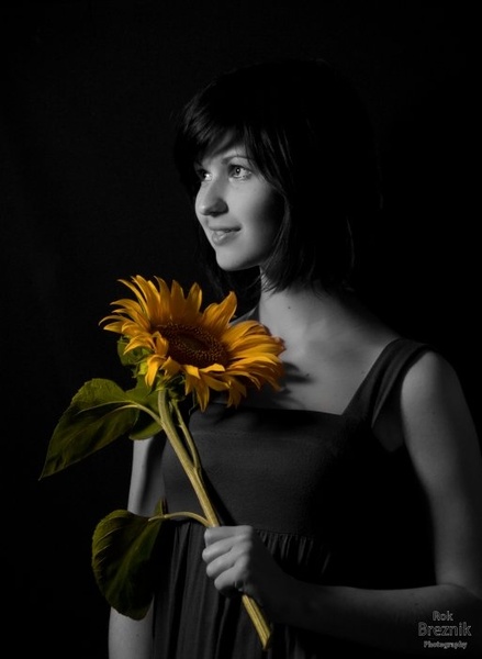 Closer to the Sun by Rok Breznik