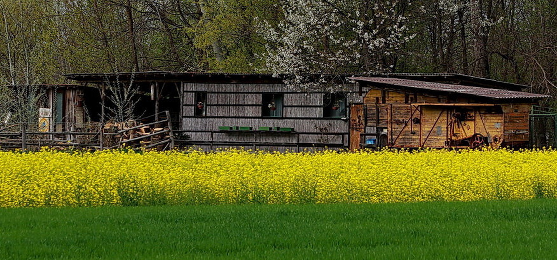 Pomlad pa bo prišla... by Tine Kunaver