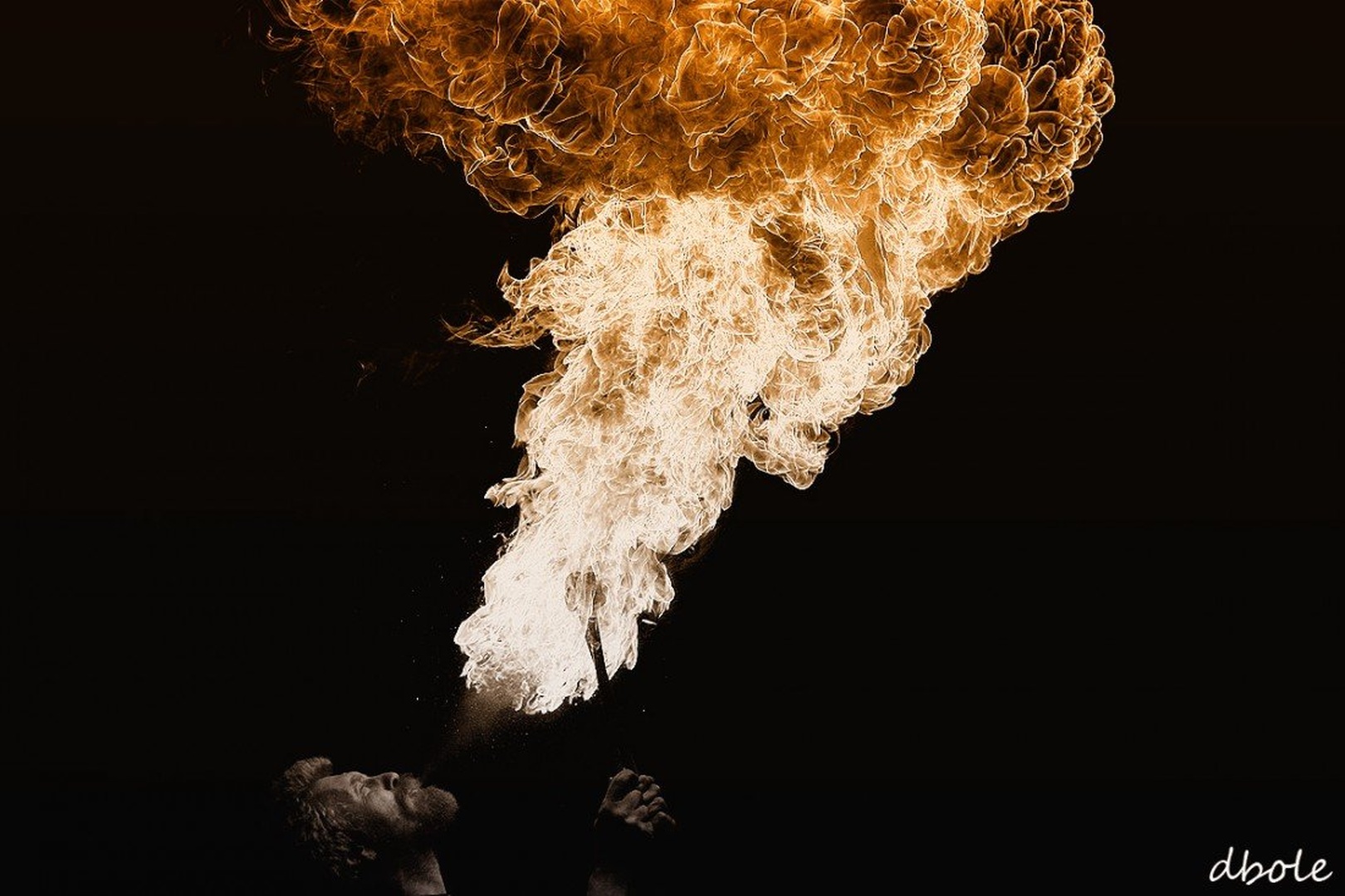 Spit the fire by David Bole