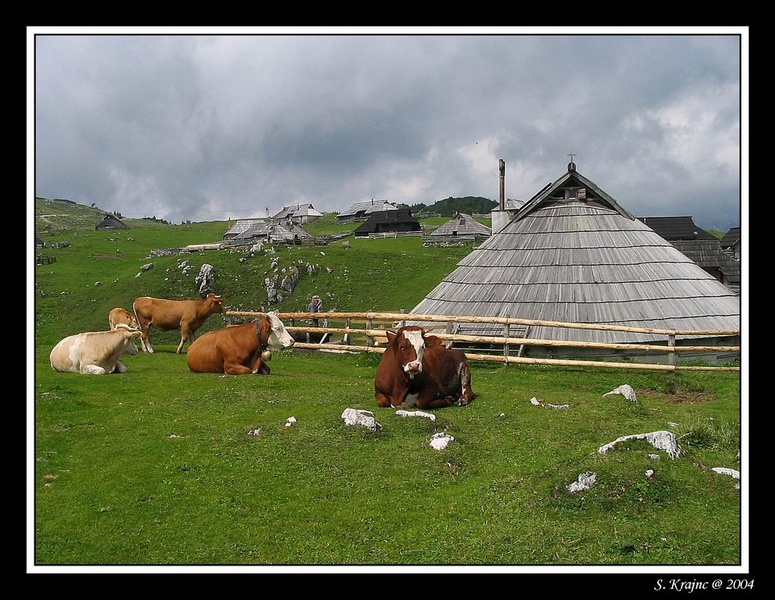 Velika planina by fuks