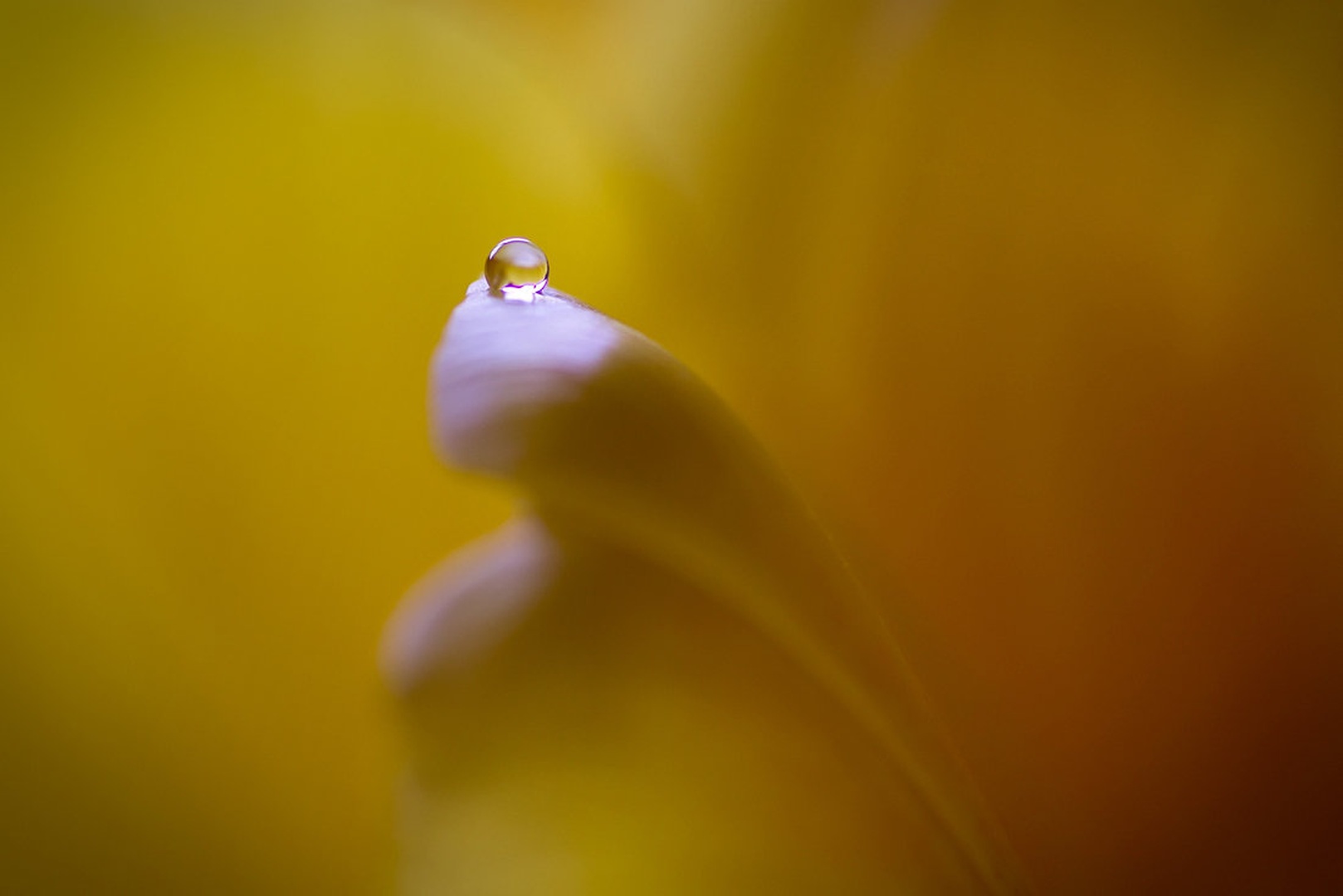 Droplet by MKnor