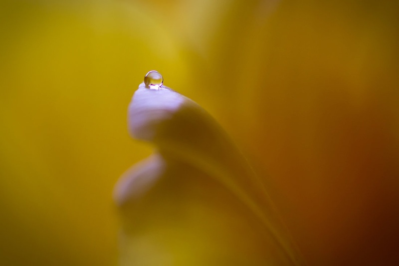 Droplet by MKnor
