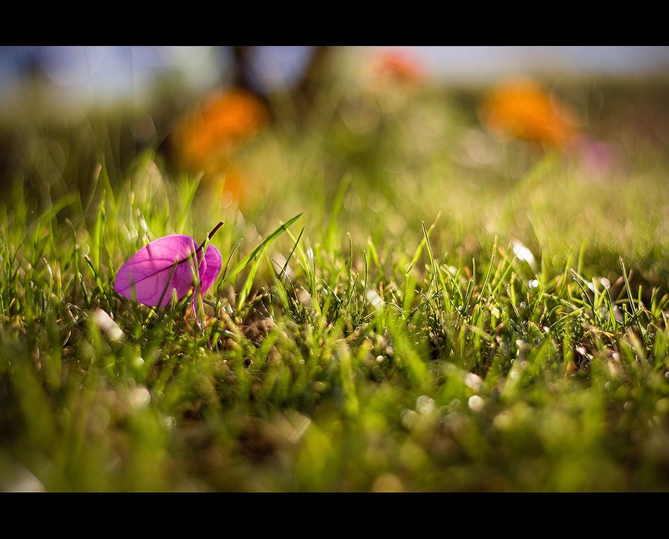 Alone by MKnor
