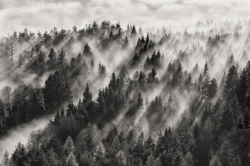Sundance No.1 by Davorin Baloh