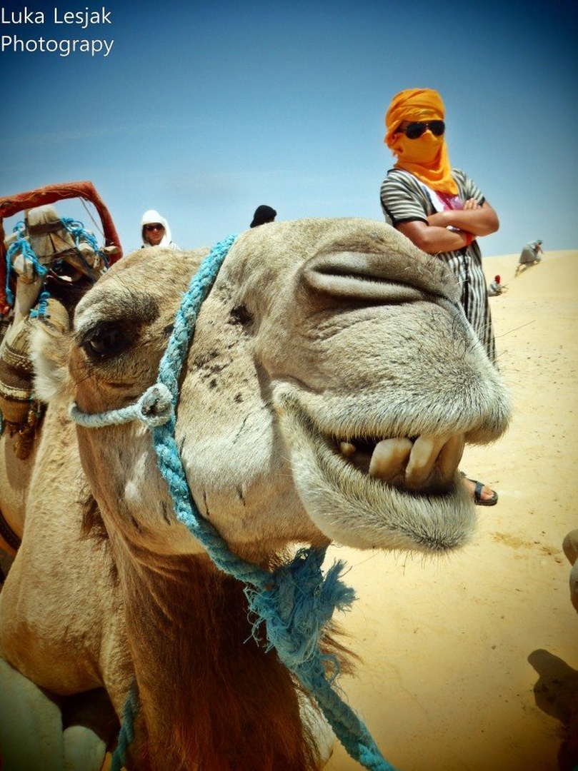 Crazy sahara 2 by Luka Lesjak