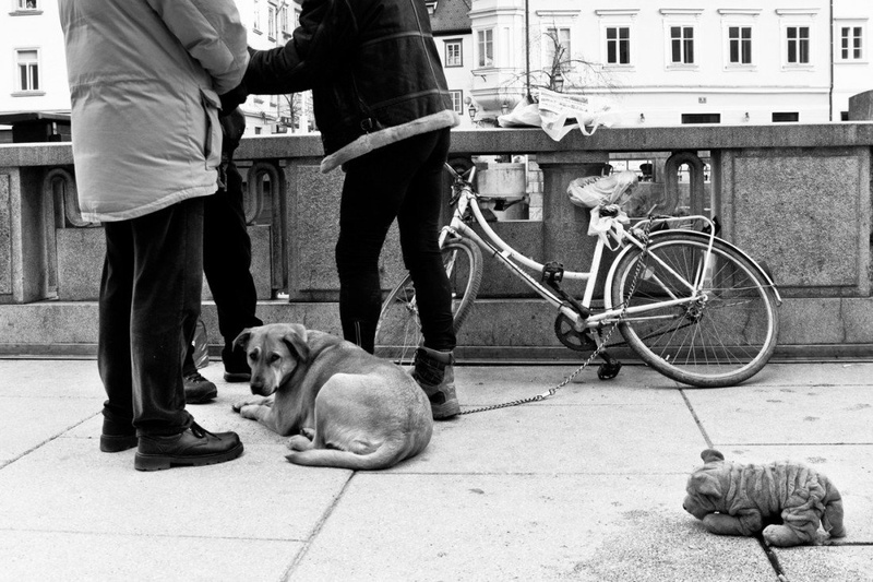 čakam by Goran Petrasevic