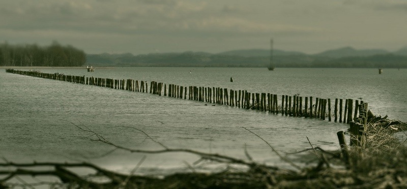 Ptujsko jezero by ah