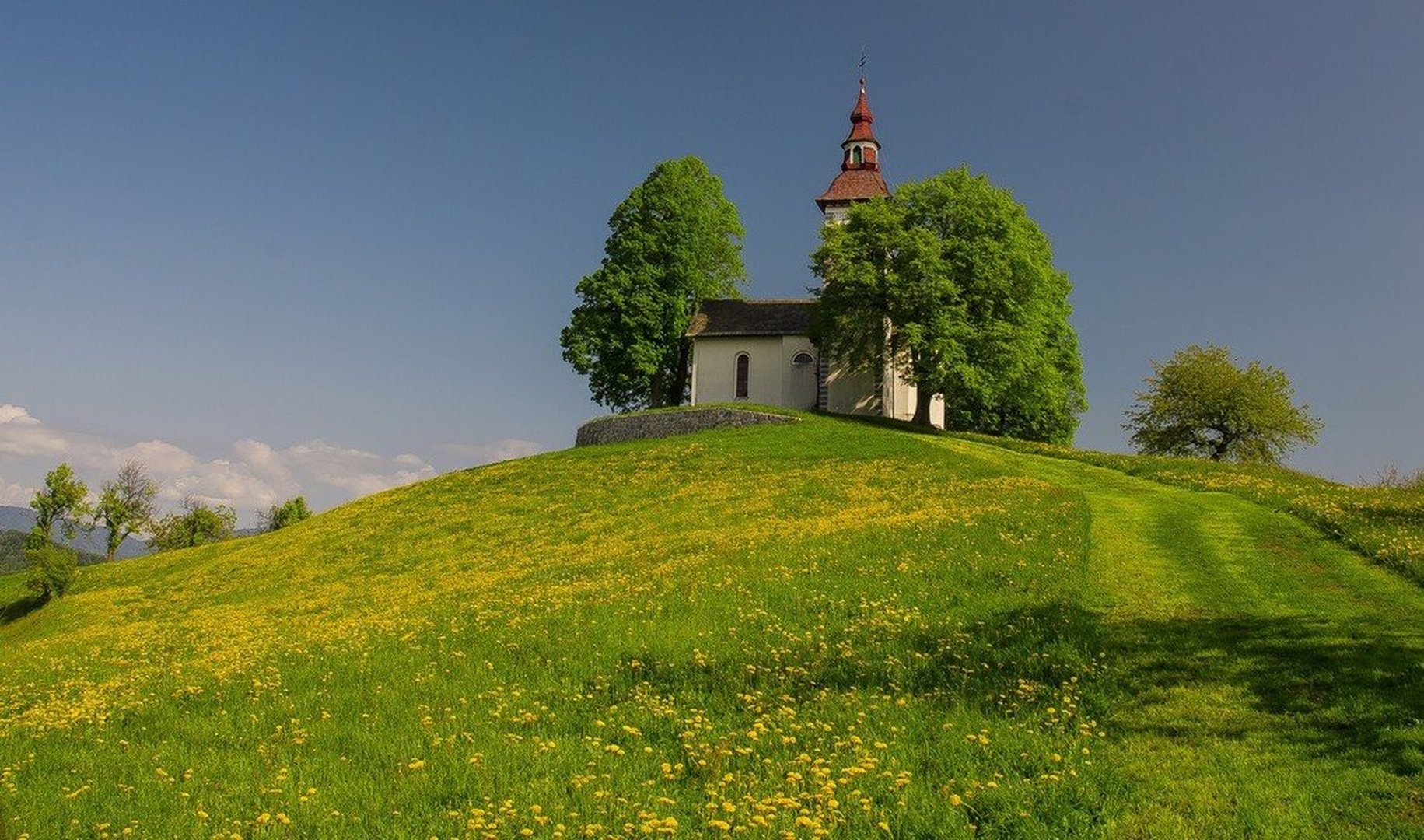 Yellow meadow 2. by stane gortnar