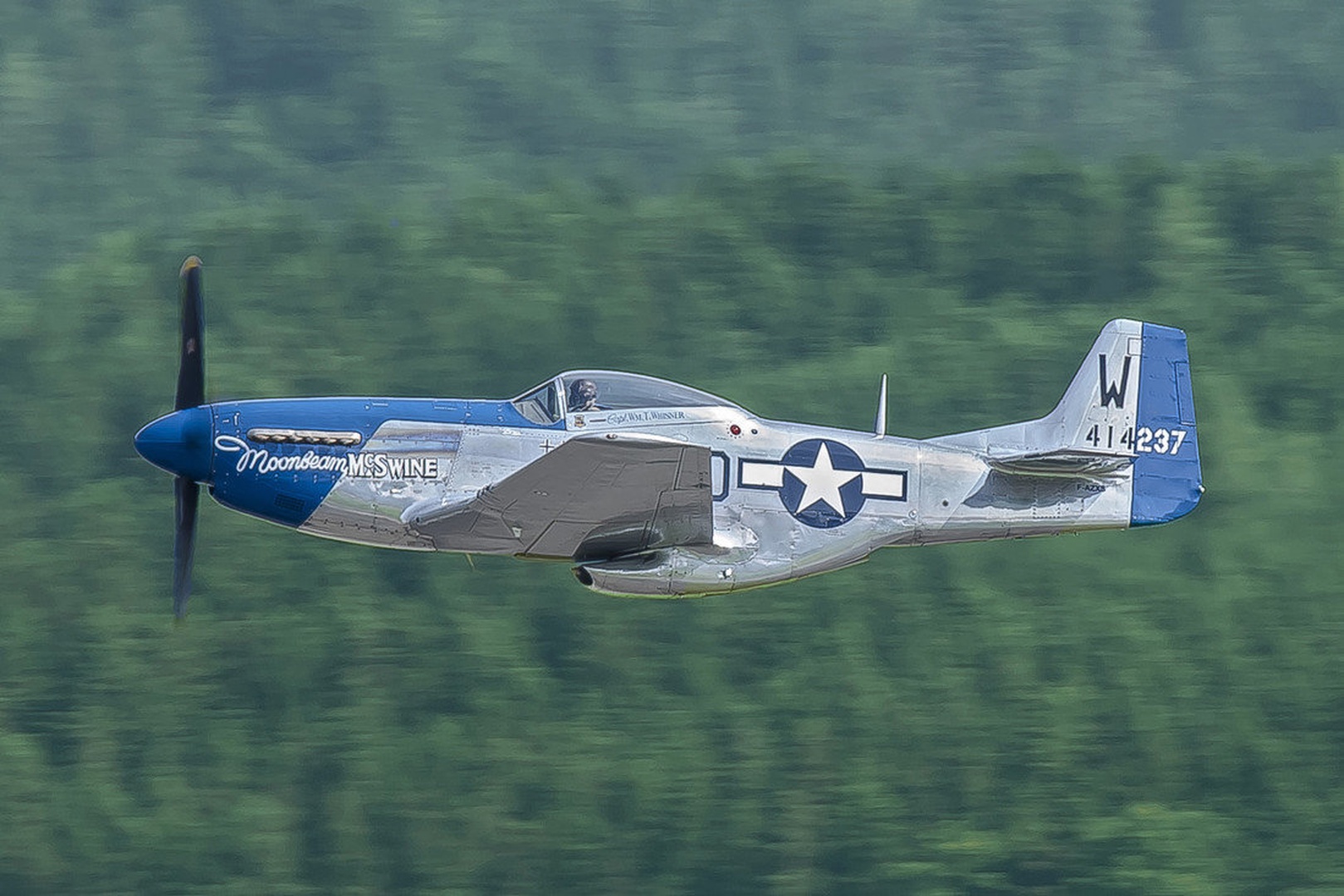 Mustang P-51 by stane gortnar