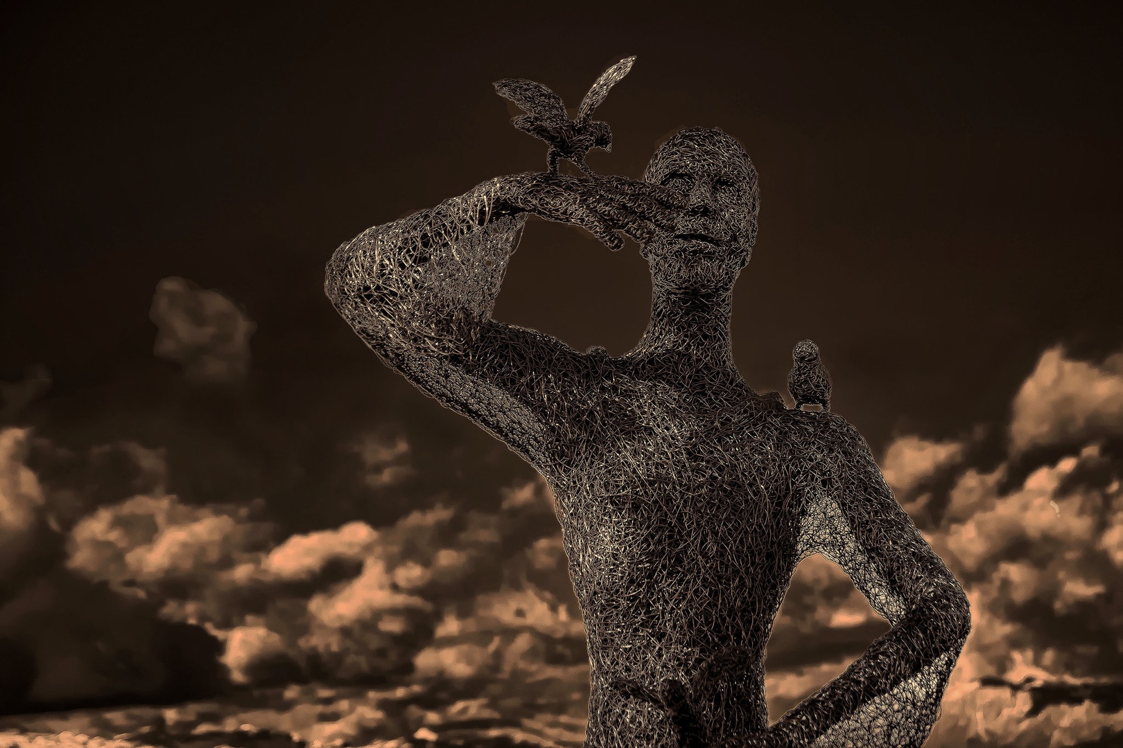Wire-man. by stane gortnar
