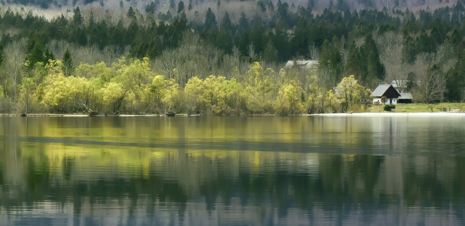 Bohinjsko jezero by stane gortnar