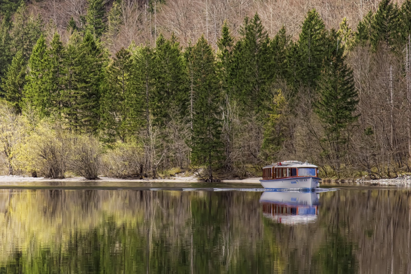 Bohinjski jezerski bus. by stane gortnar
