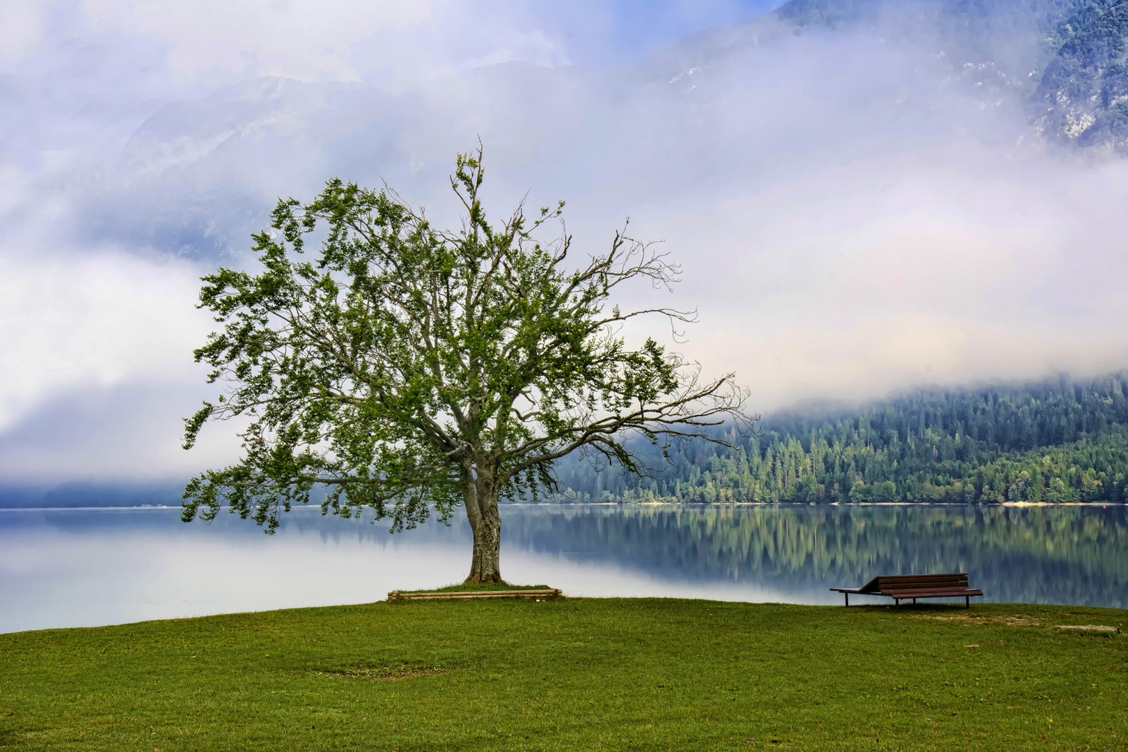 Bohinjsko jutro by stane gortnar