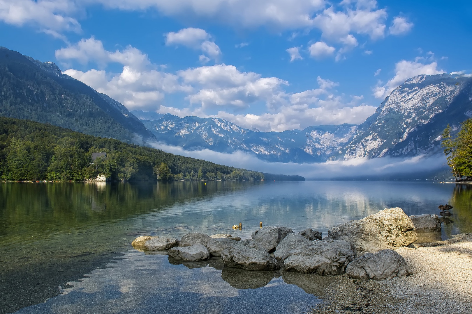 Bohinjsko jutro II. by stane gortnar