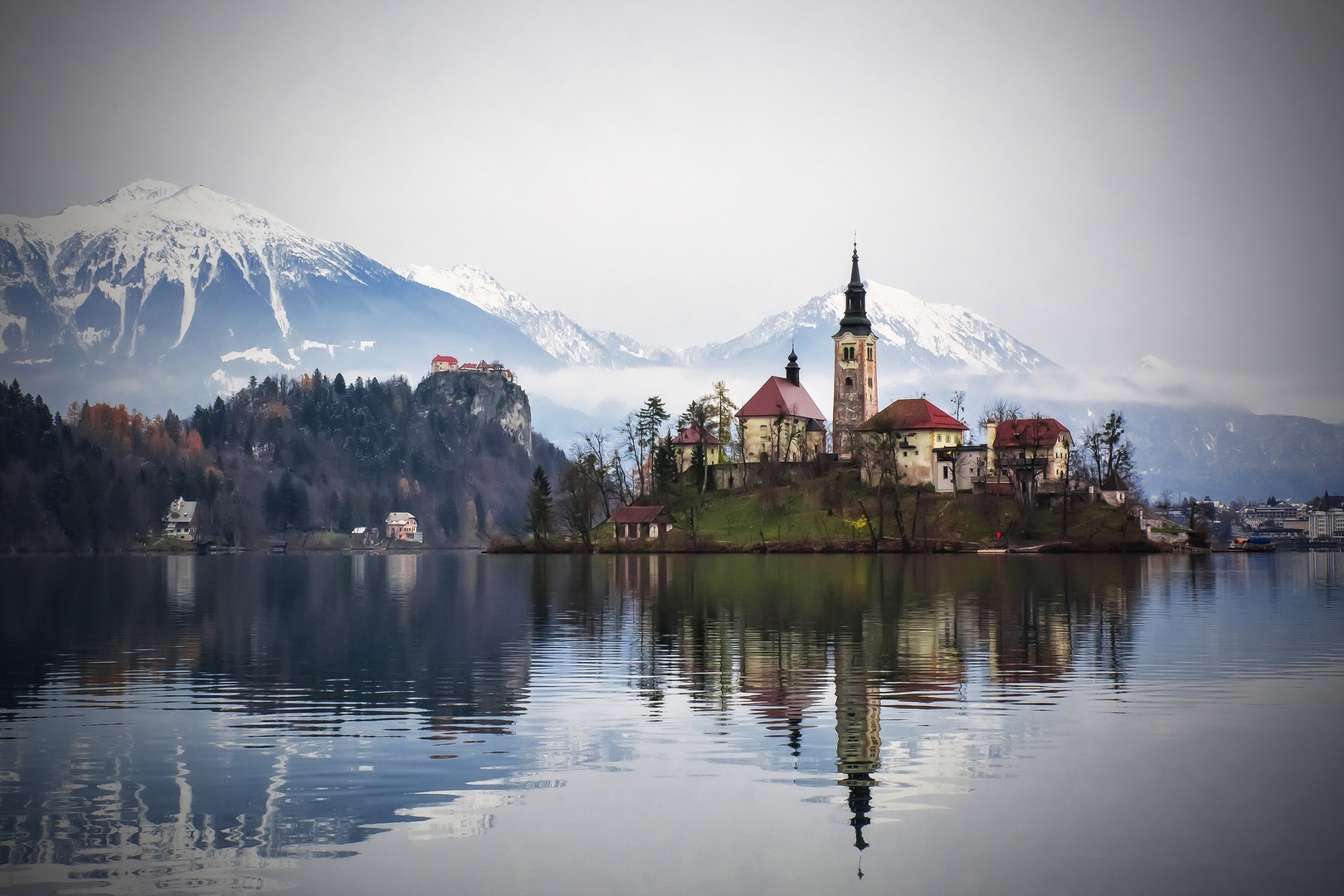 BLED by stane gortnar