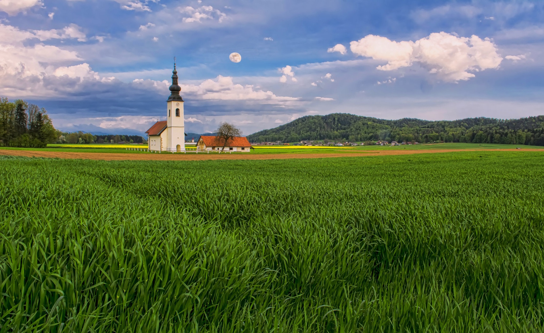 Kranjsko-sorško polje by stane gortnar
