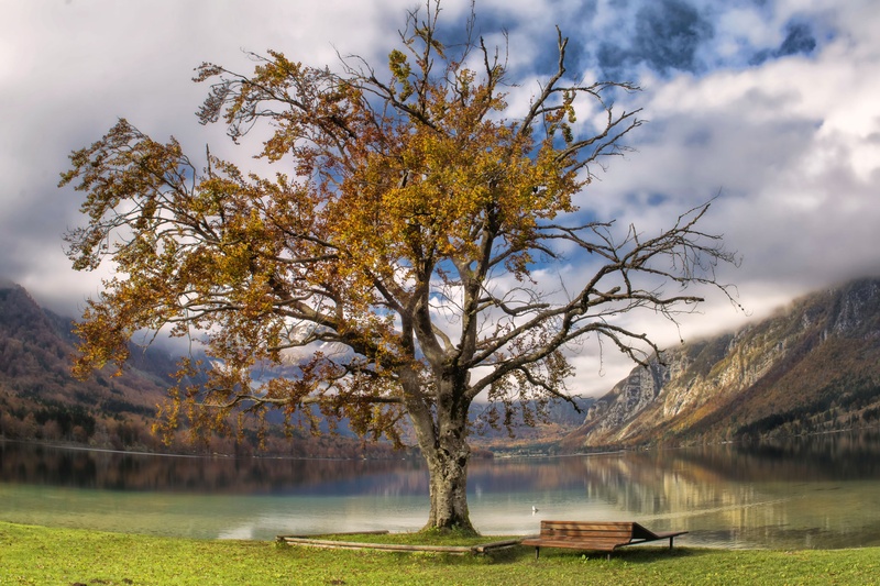 Jesen v Bohinju by stane gortnar