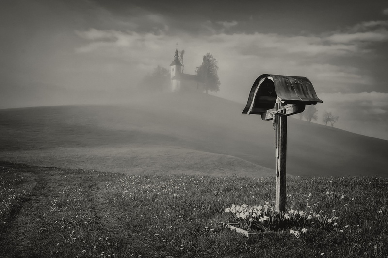 Malo pred koncem by stane gortnar