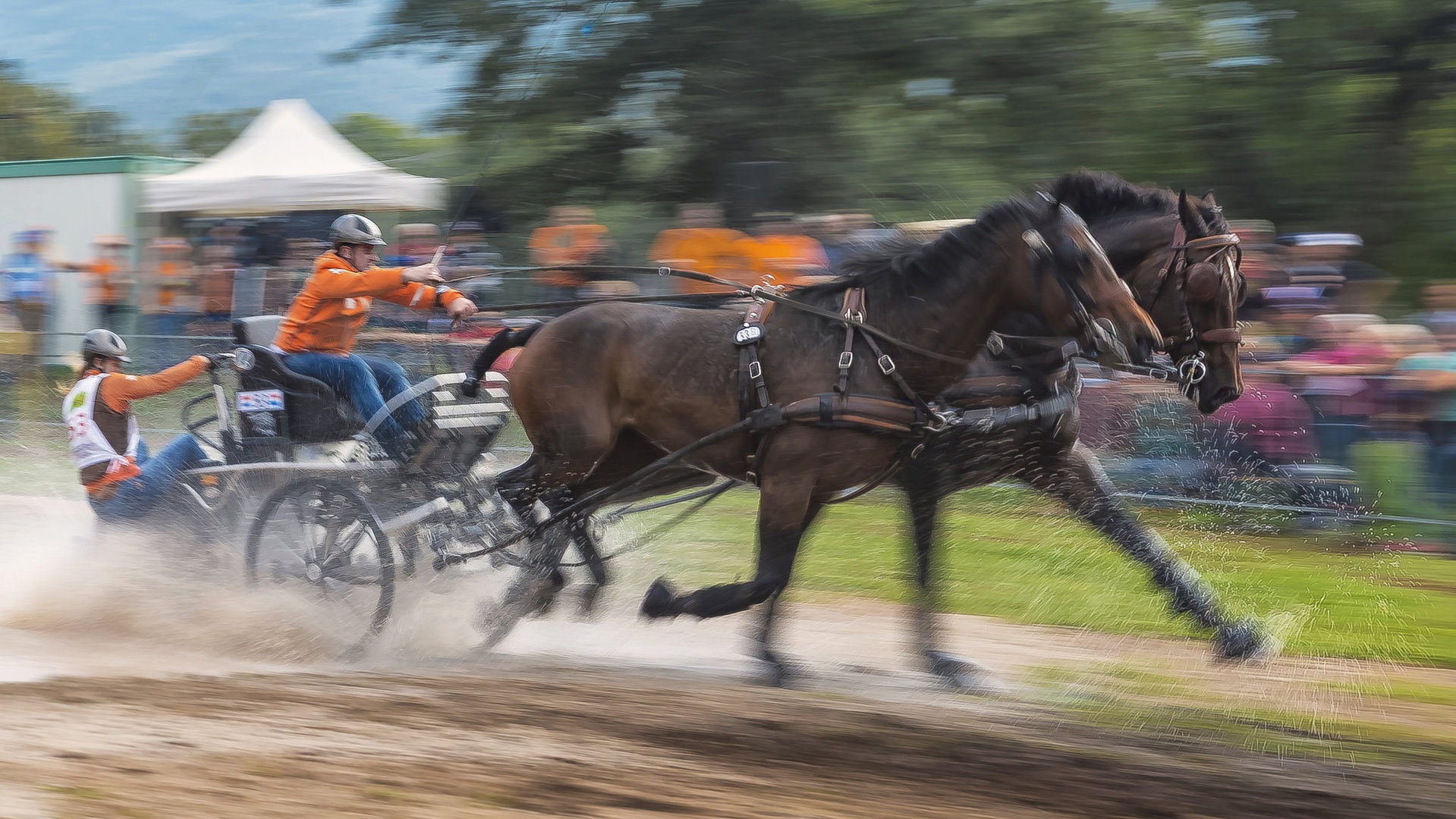 2horse power by stane gortnar