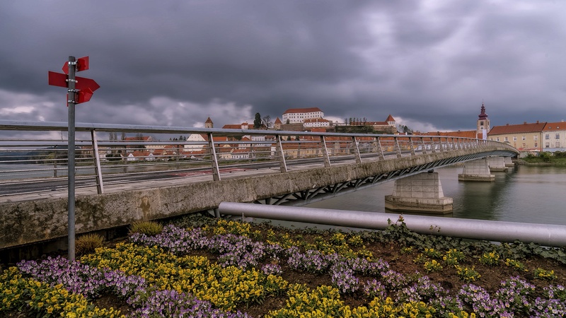 Ptuj by stane gortnar