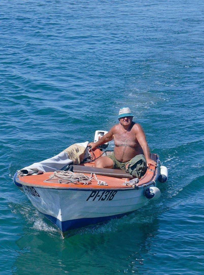 za večerjo bodo ribe by stane gortnar