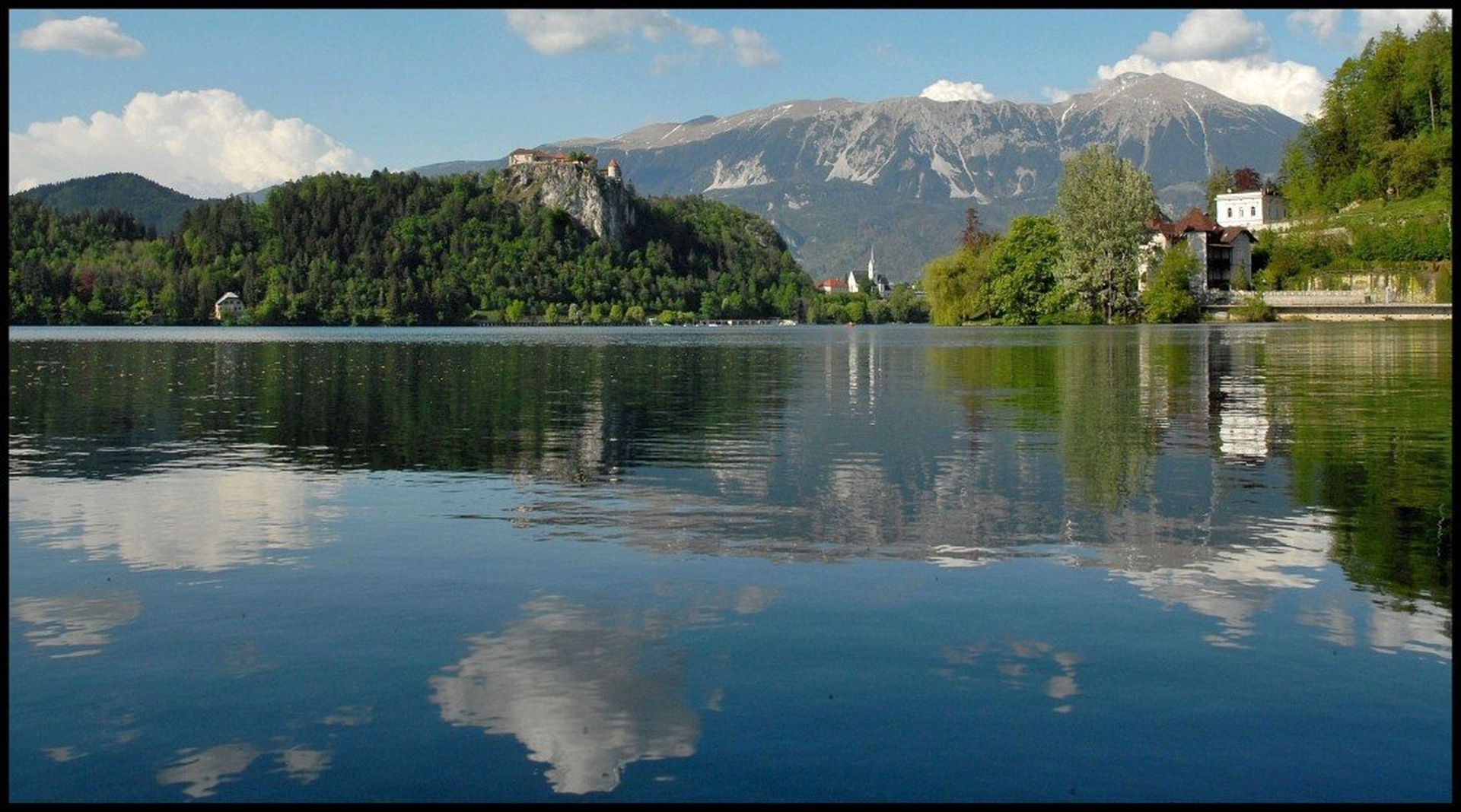 bled... by stane gortnar