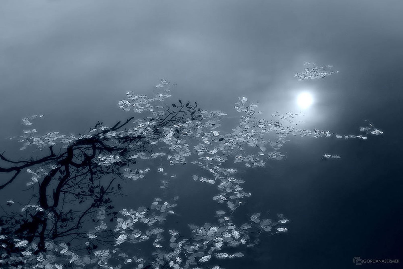 Haiku by Goga Sermek