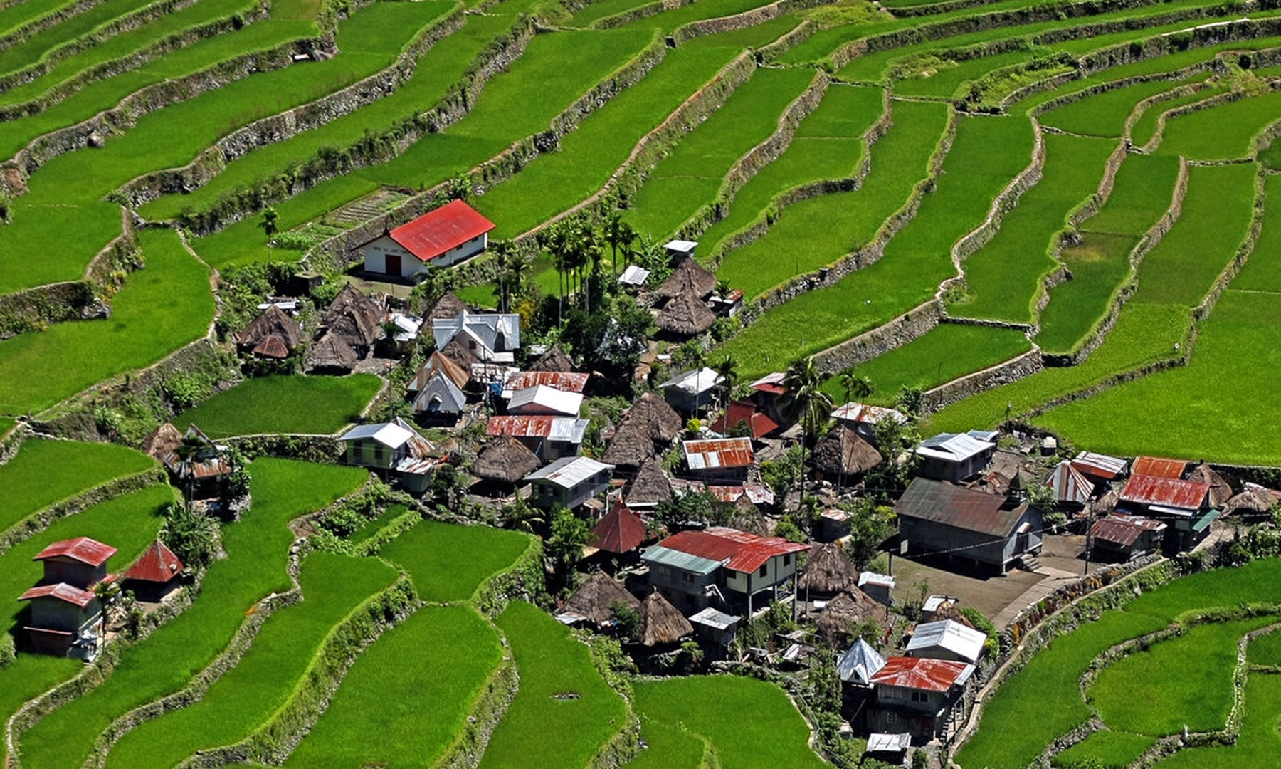 Filipini (Batad) by Primož Jereb