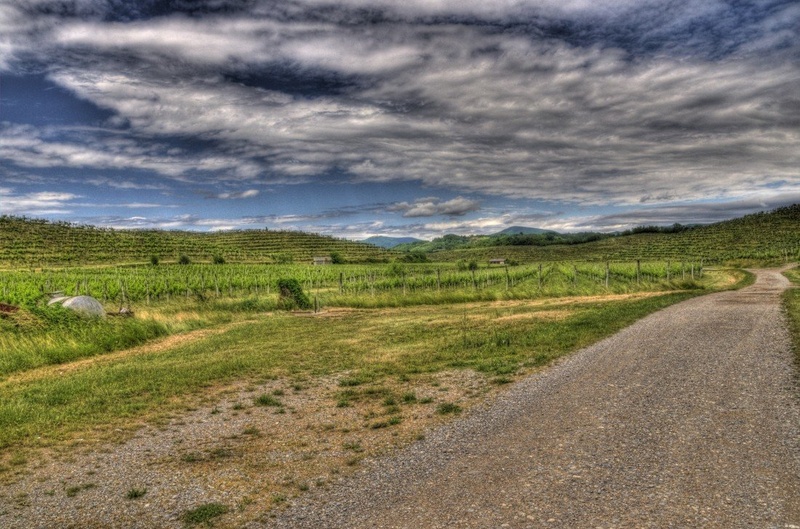 Biljenski griči HDR by Sandi Nemec