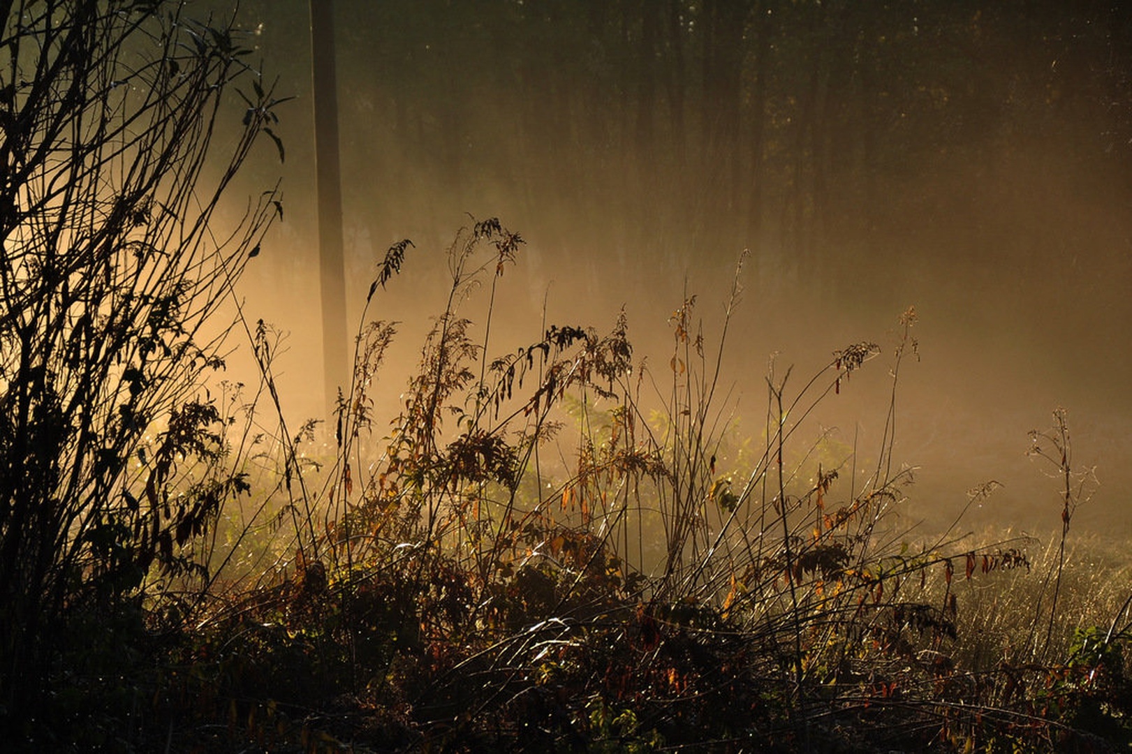 Dobro jutro ... by Dragutin Vrbanec