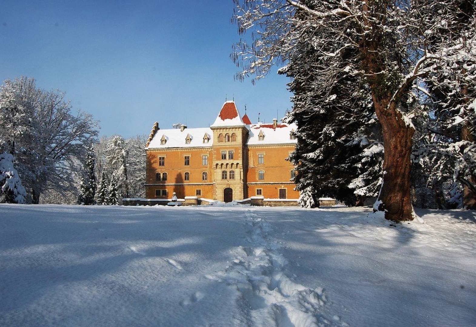 Dvorac  u snijegu by Dragutin Vrbanec