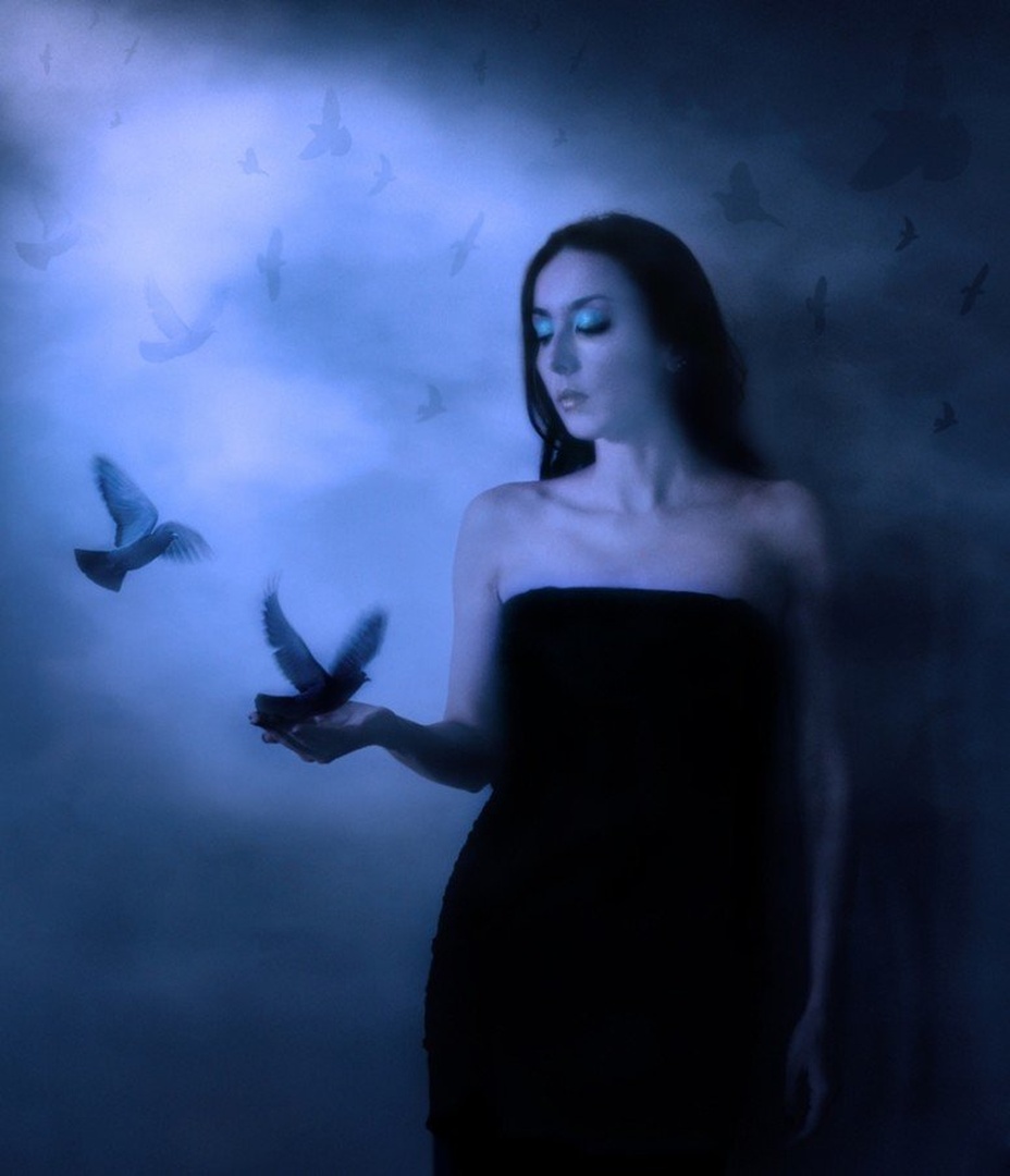 my little bird, come to me.... by Ivana Todorovic