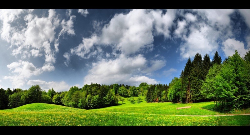 green by Jaro Veselinovič