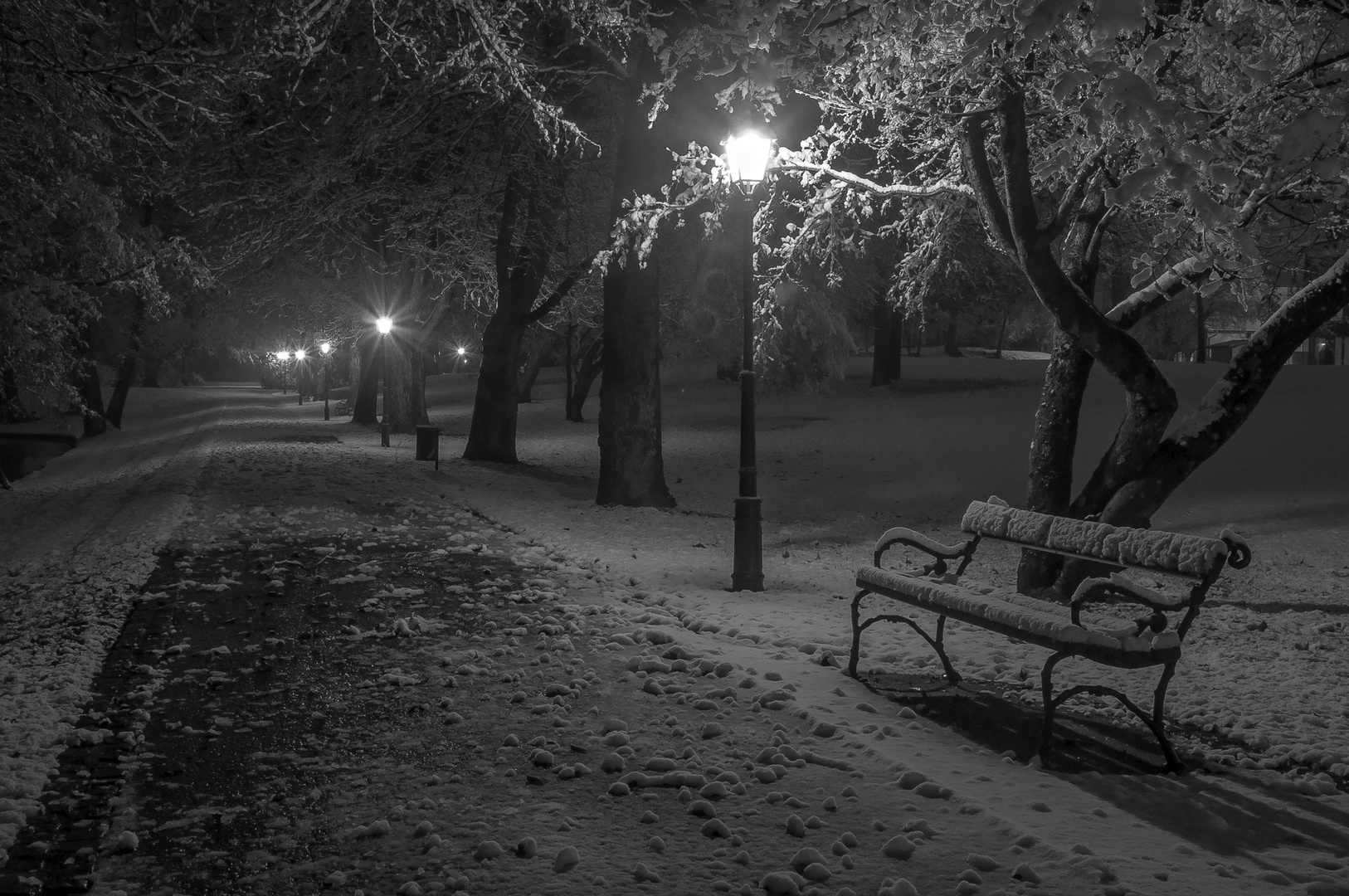 Park bench by Matej Šušteršič