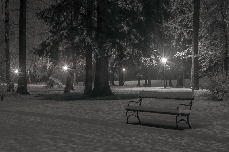 Lonly bench by Matej Šušteršič