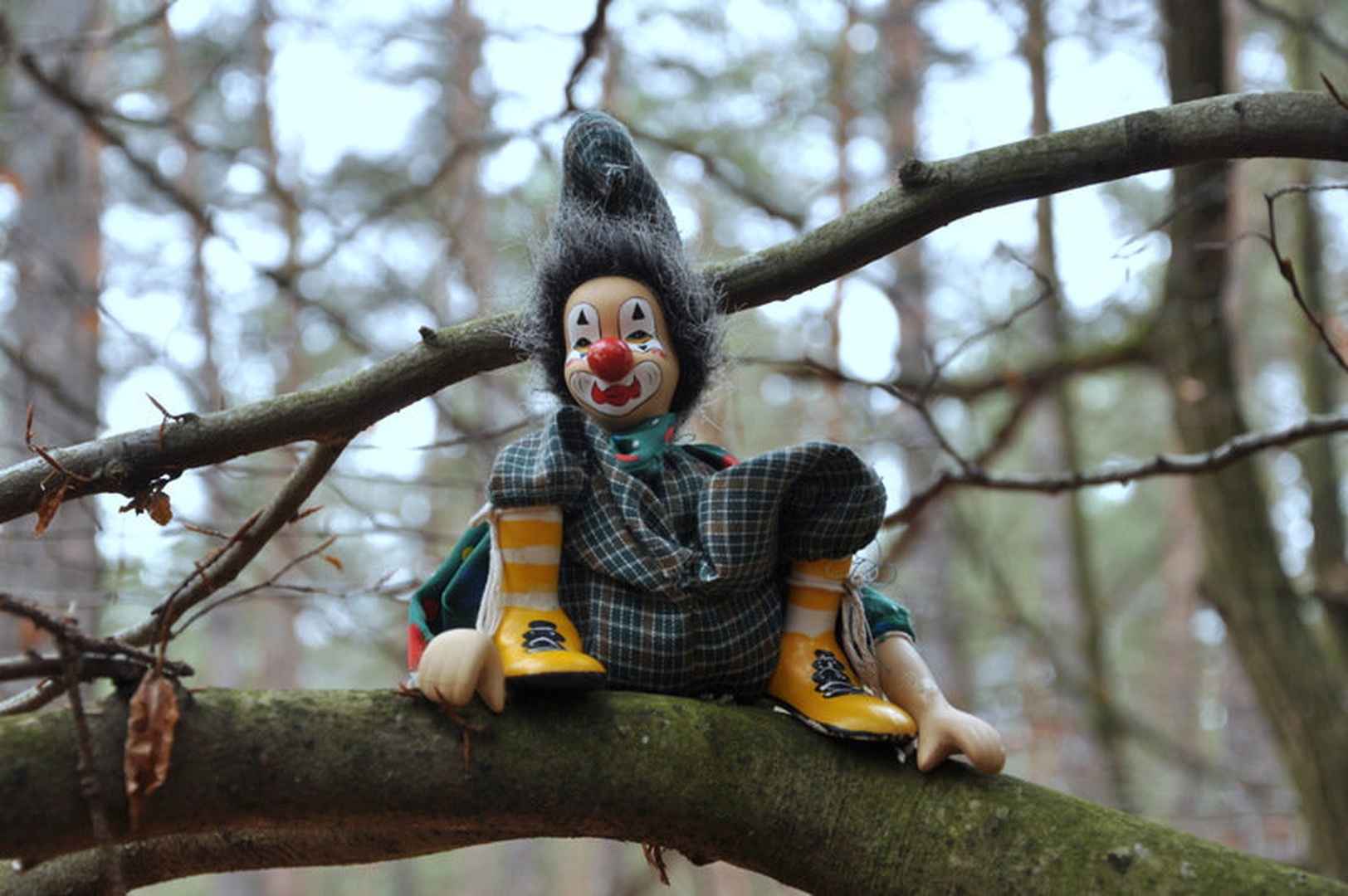 Forest clown by Matej Šušteršič