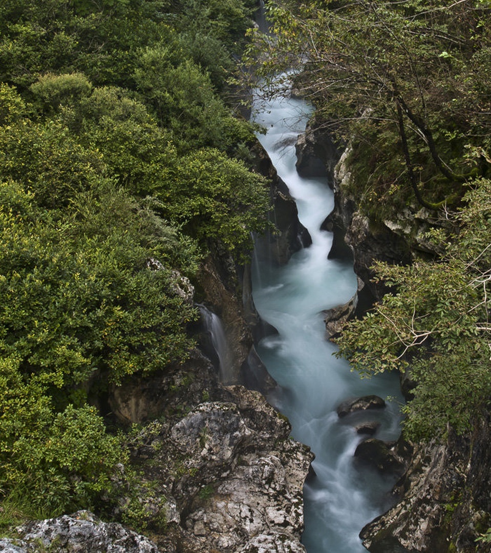 Soča mi šumi by Bojko