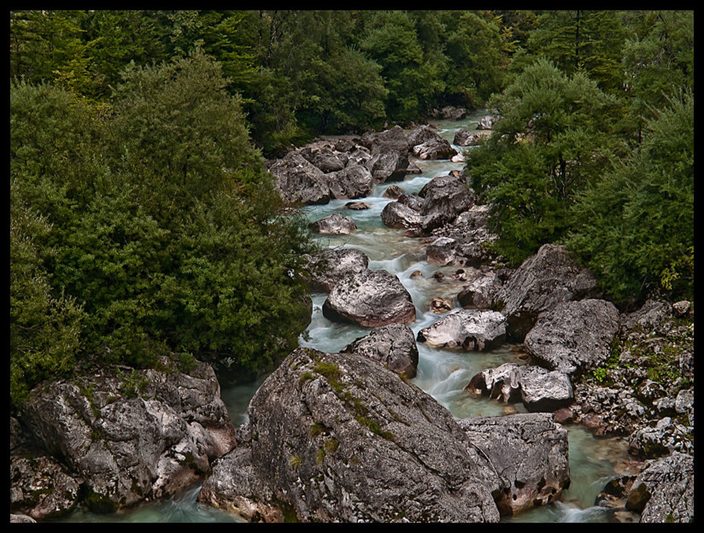 Harmonija narave by Bojko