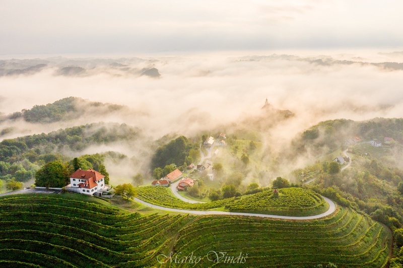 Megleno jutro by Marko Vindiš