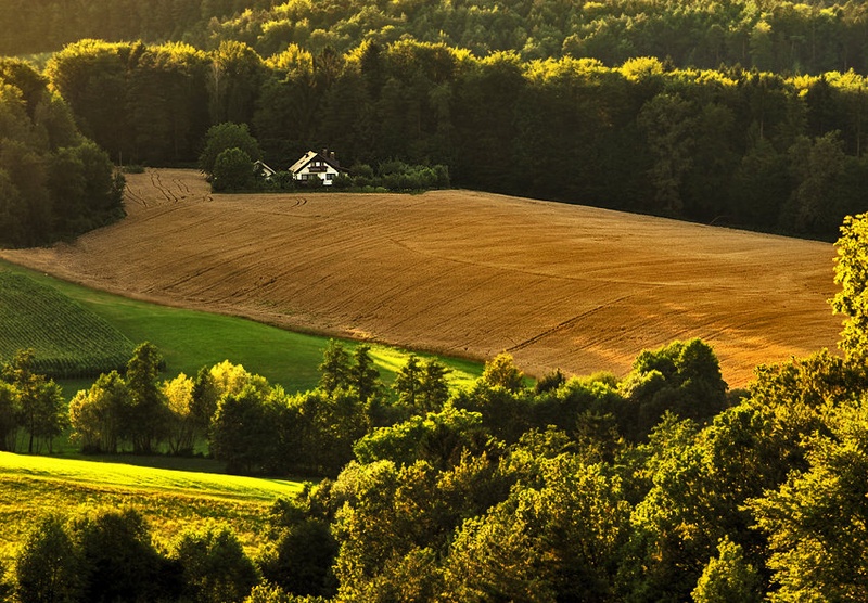 Pogled na sosednji breg by Luka Trošt