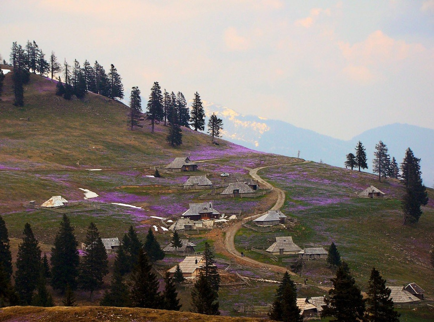 pomlad by Peter Turšič