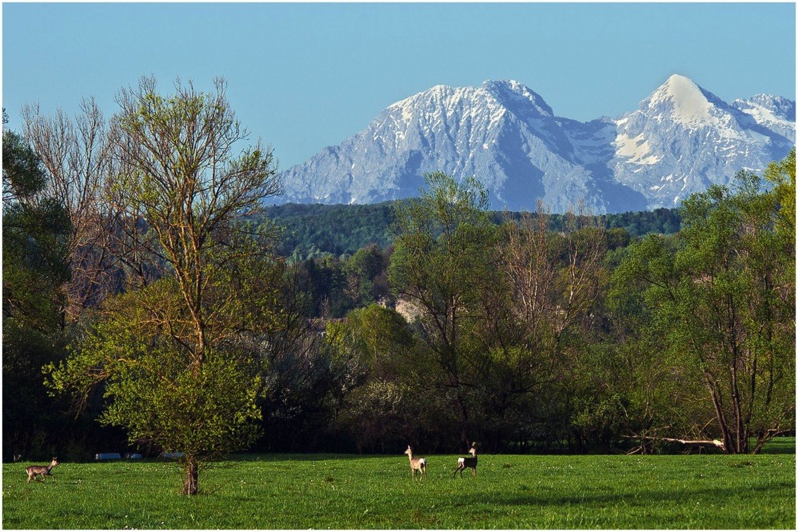 pridi že midva čakava by Peter Turšič