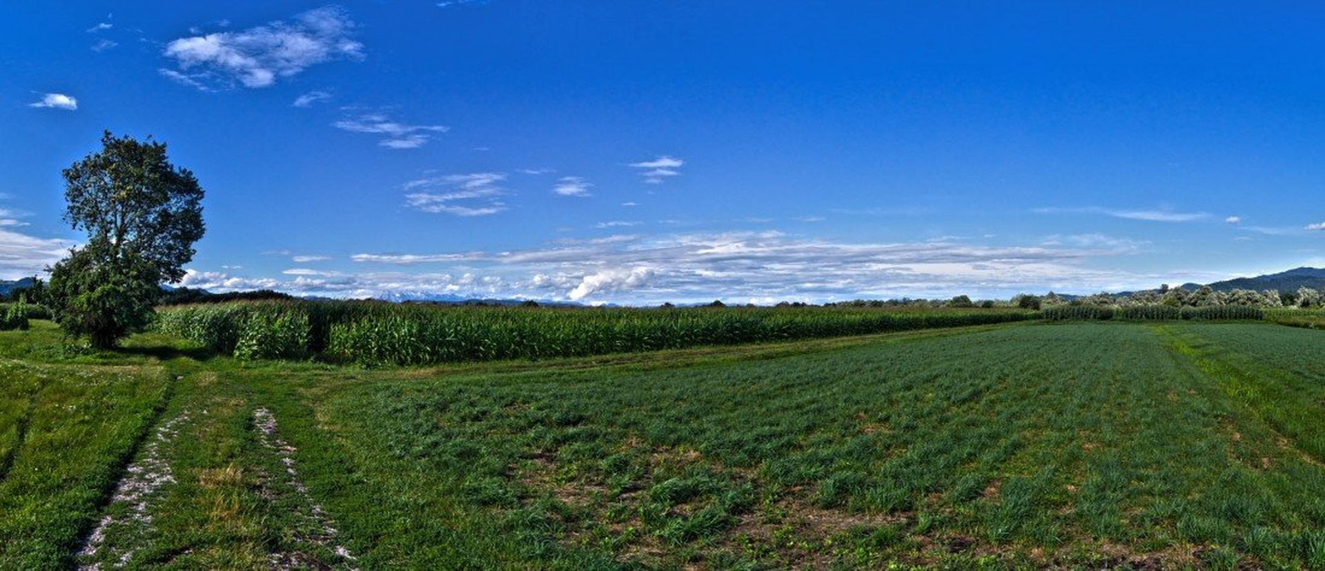beyond the corn field by Peter Turšič