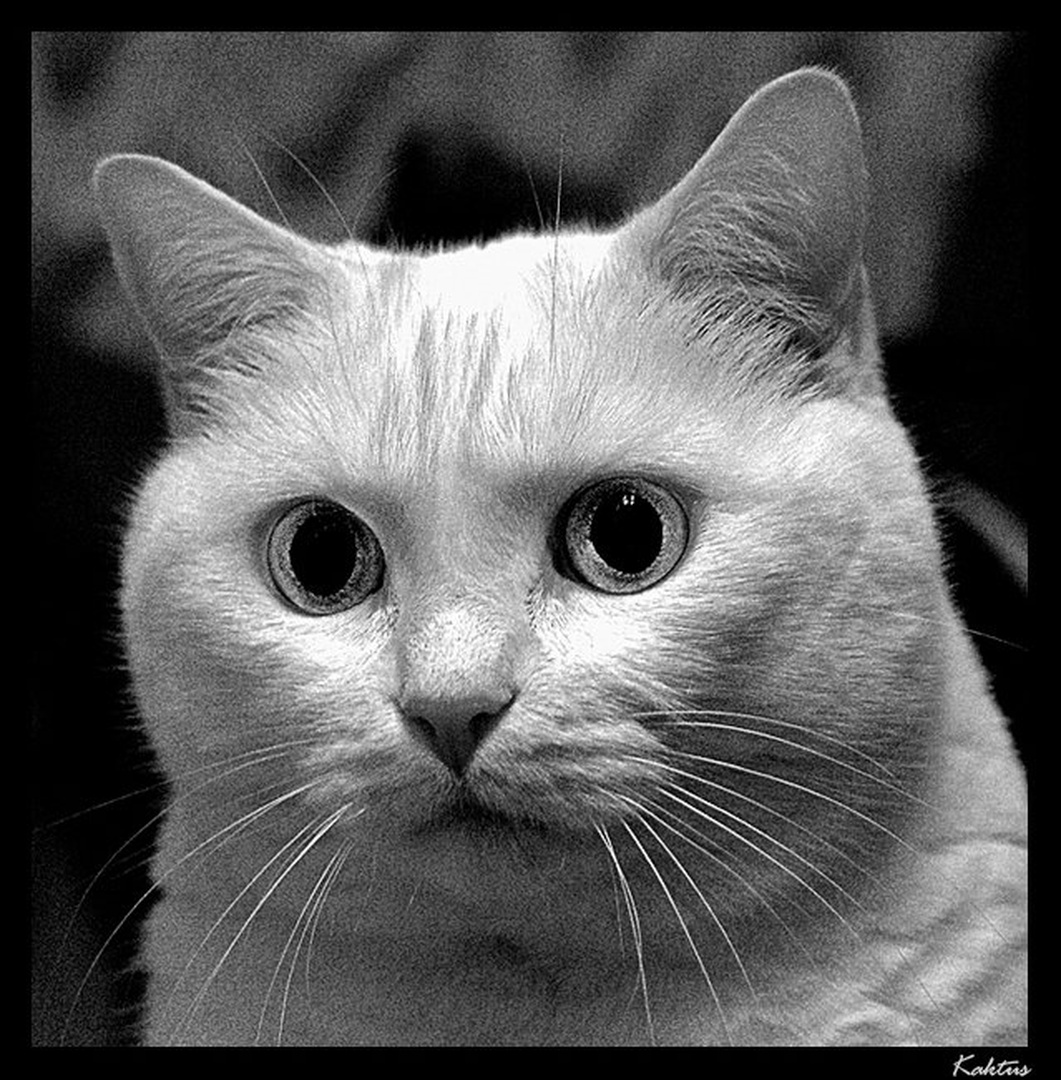 B & W by