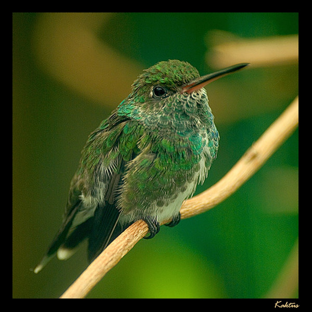 Sitting there ...all alone... by