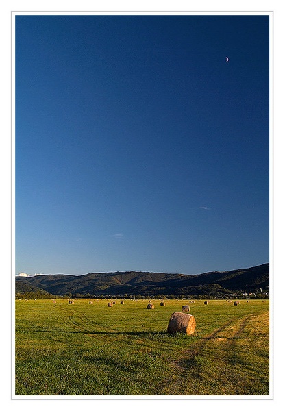 Bale sena se pasejo by Kaktus