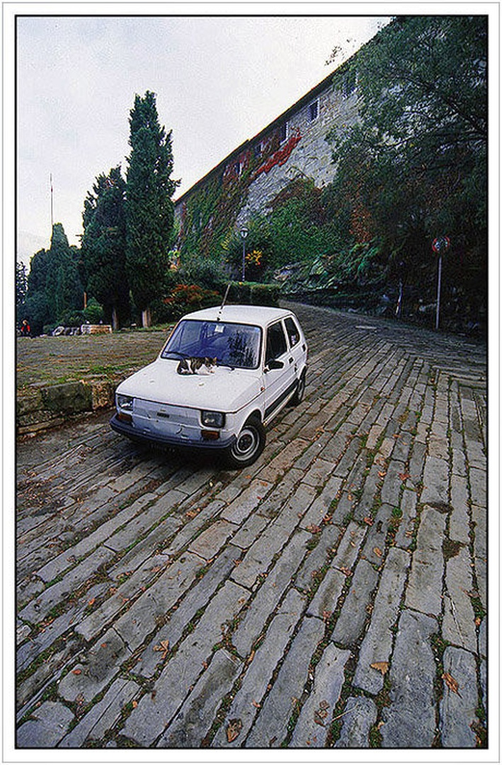 Leta 1983 by