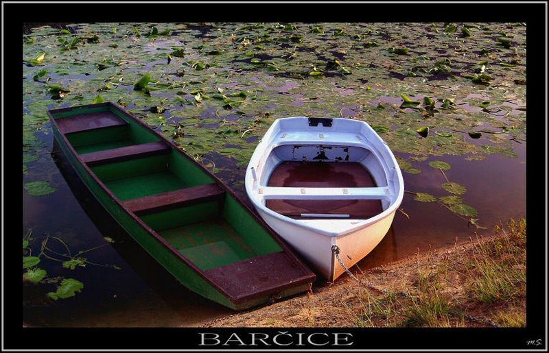 Barčice by Kaktus
